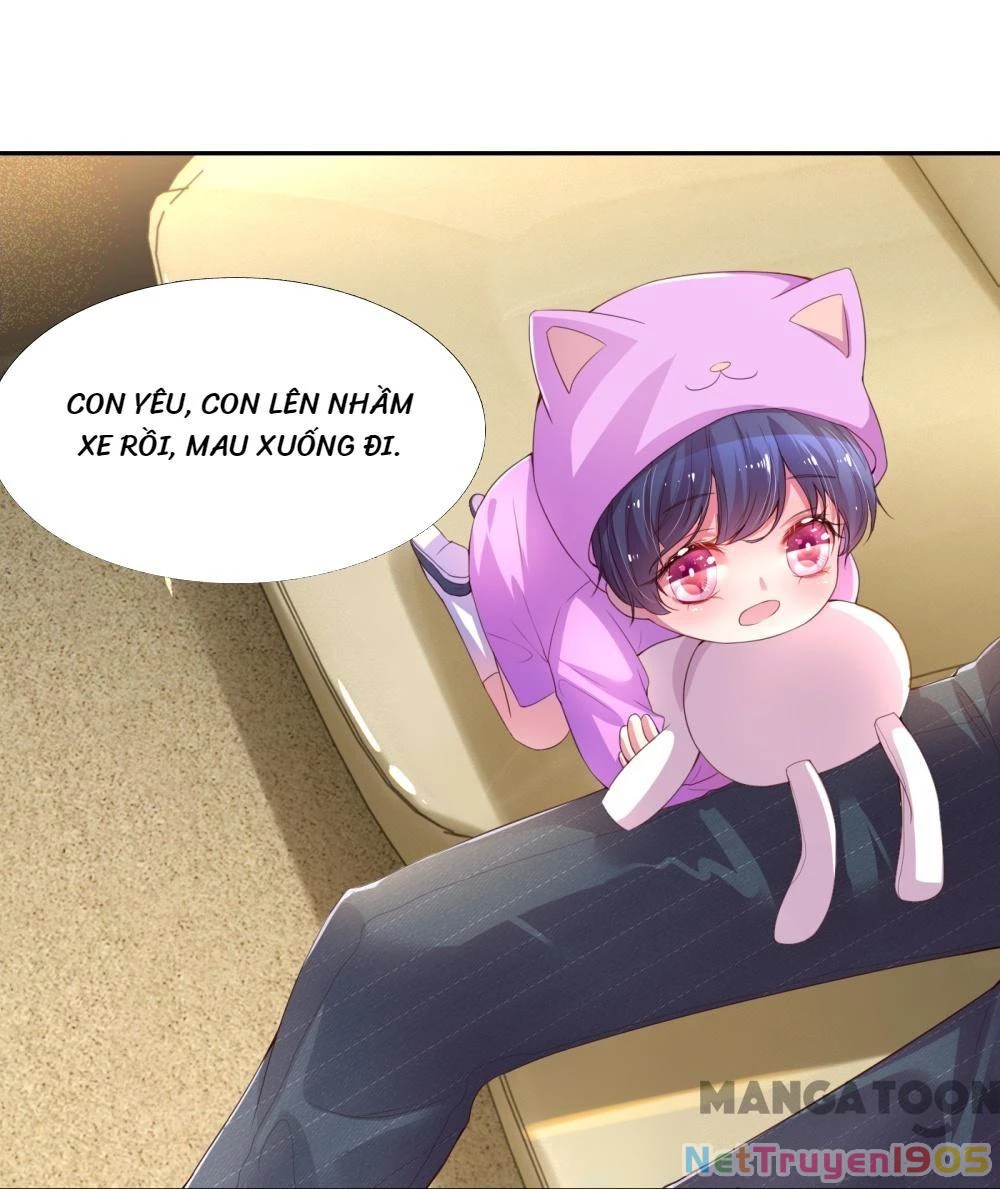 Mami Mau Chạy - Daddy Đuổi Tới Rồi Chapter 1 - 19