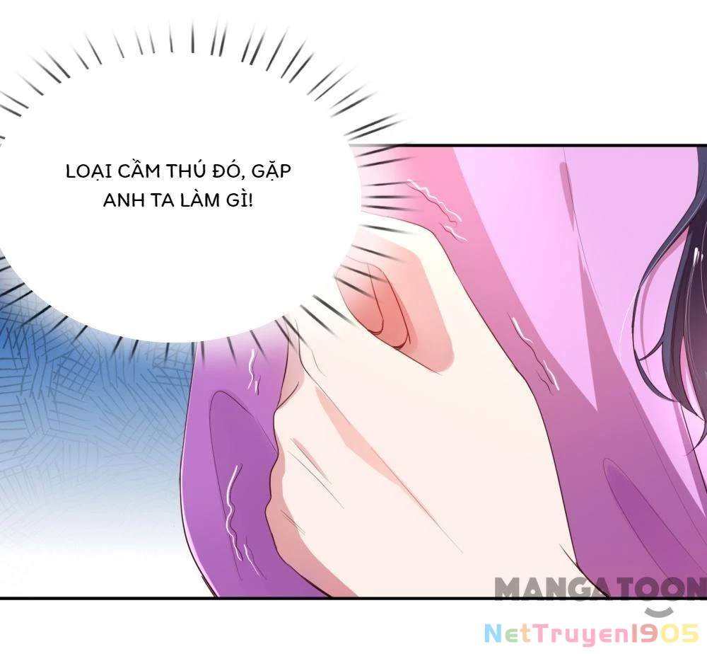 Mami Mau Chạy - Daddy Đuổi Tới Rồi Chapter 1 - 49