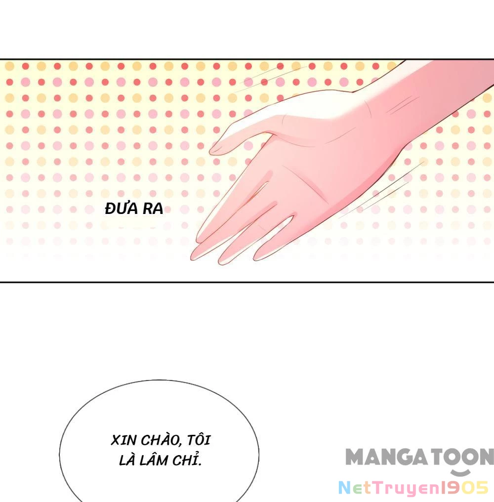 Mami Mau Chạy - Daddy Đuổi Tới Rồi Chapter 4 - 11