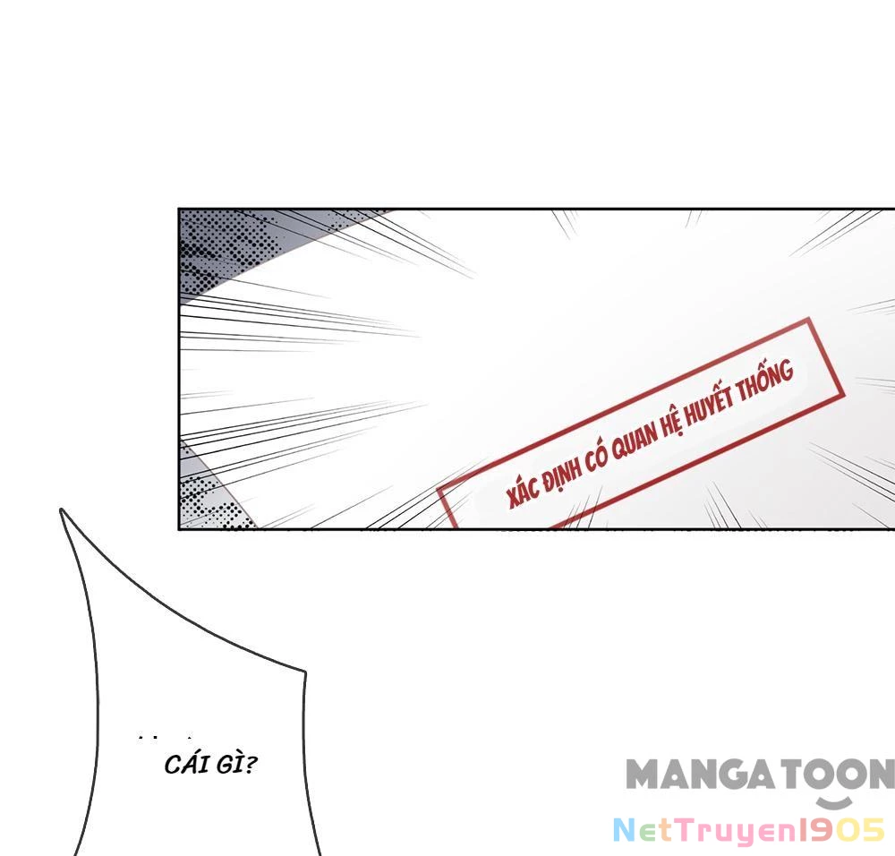 Mami Mau Chạy - Daddy Đuổi Tới Rồi Chapter 11 - 11