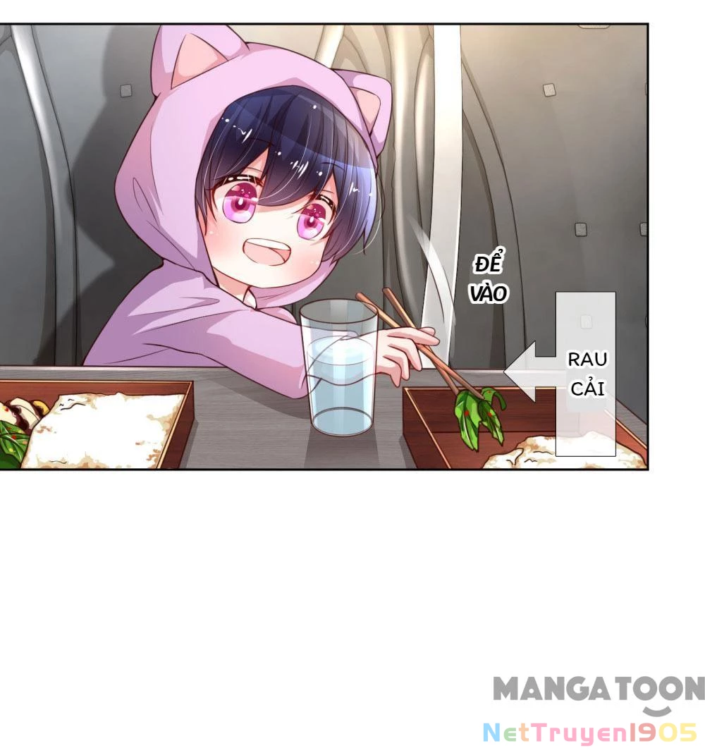 Mami Mau Chạy - Daddy Đuổi Tới Rồi Chapter 44 - 20