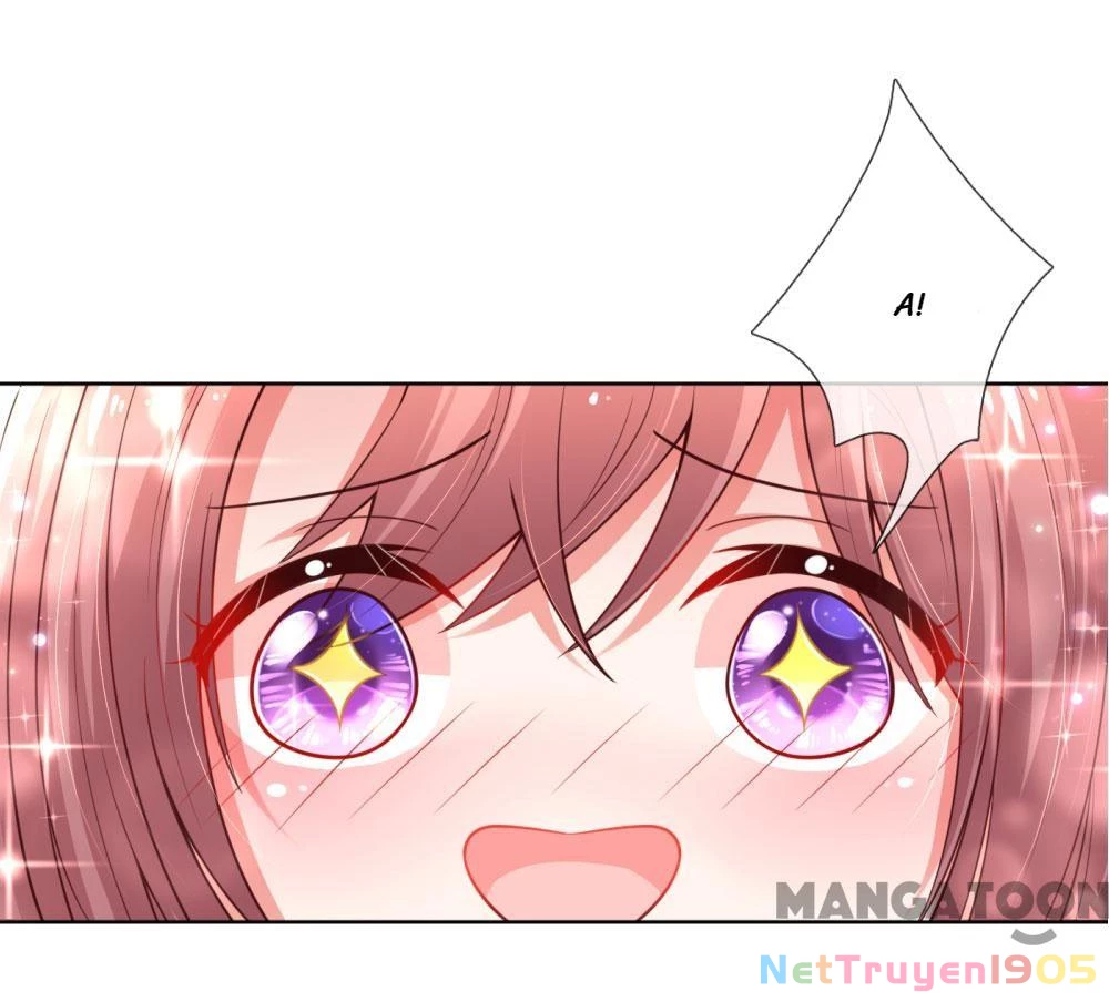 Mami Mau Chạy - Daddy Đuổi Tới Rồi Chapter 71 - 5