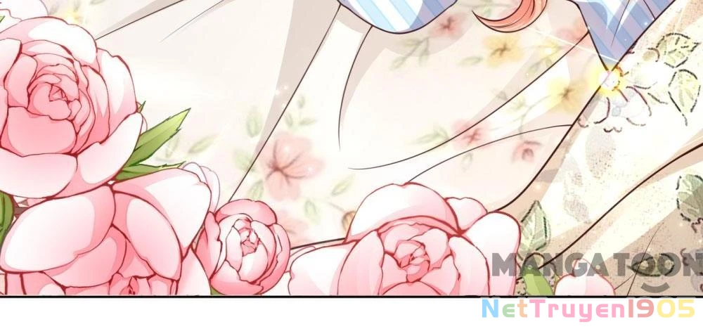 Mami Mau Chạy - Daddy Đuổi Tới Rồi Chapter 71 - 24