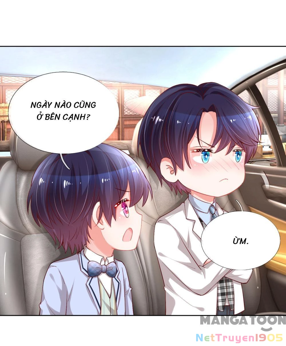 Mami Mau Chạy - Daddy Đuổi Tới Rồi Chapter 75 - 2