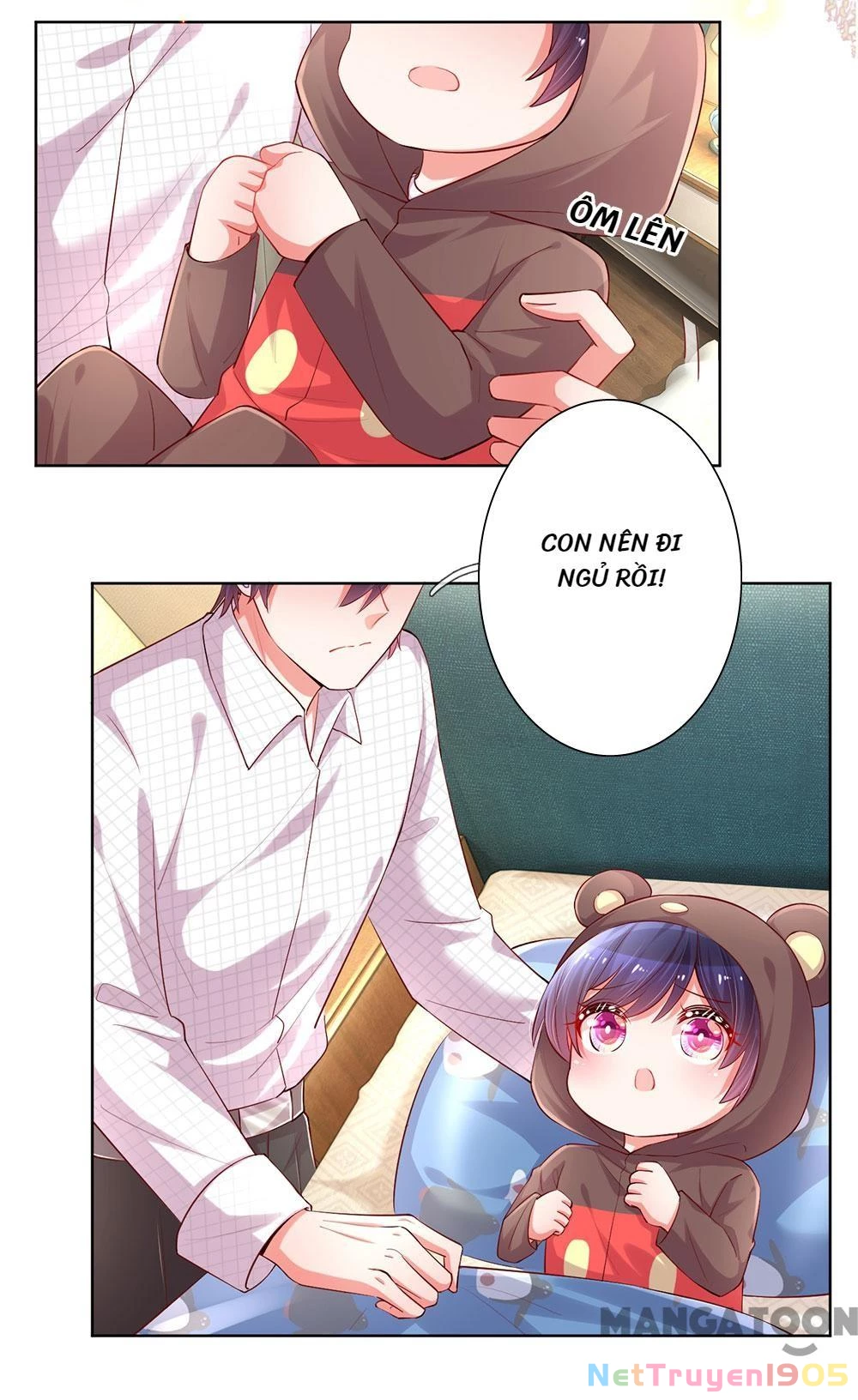 Mami Mau Chạy - Daddy Đuổi Tới Rồi Chapter 82 - 14