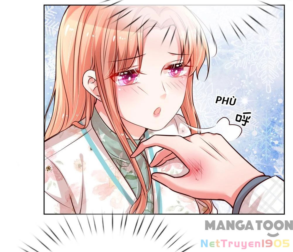 Mami Mau Chạy - Daddy Đuổi Tới Rồi Chapter 86 - 5