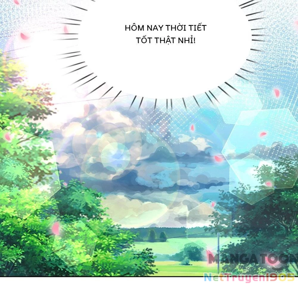Mami Mau Chạy - Daddy Đuổi Tới Rồi Chapter 100 - 13