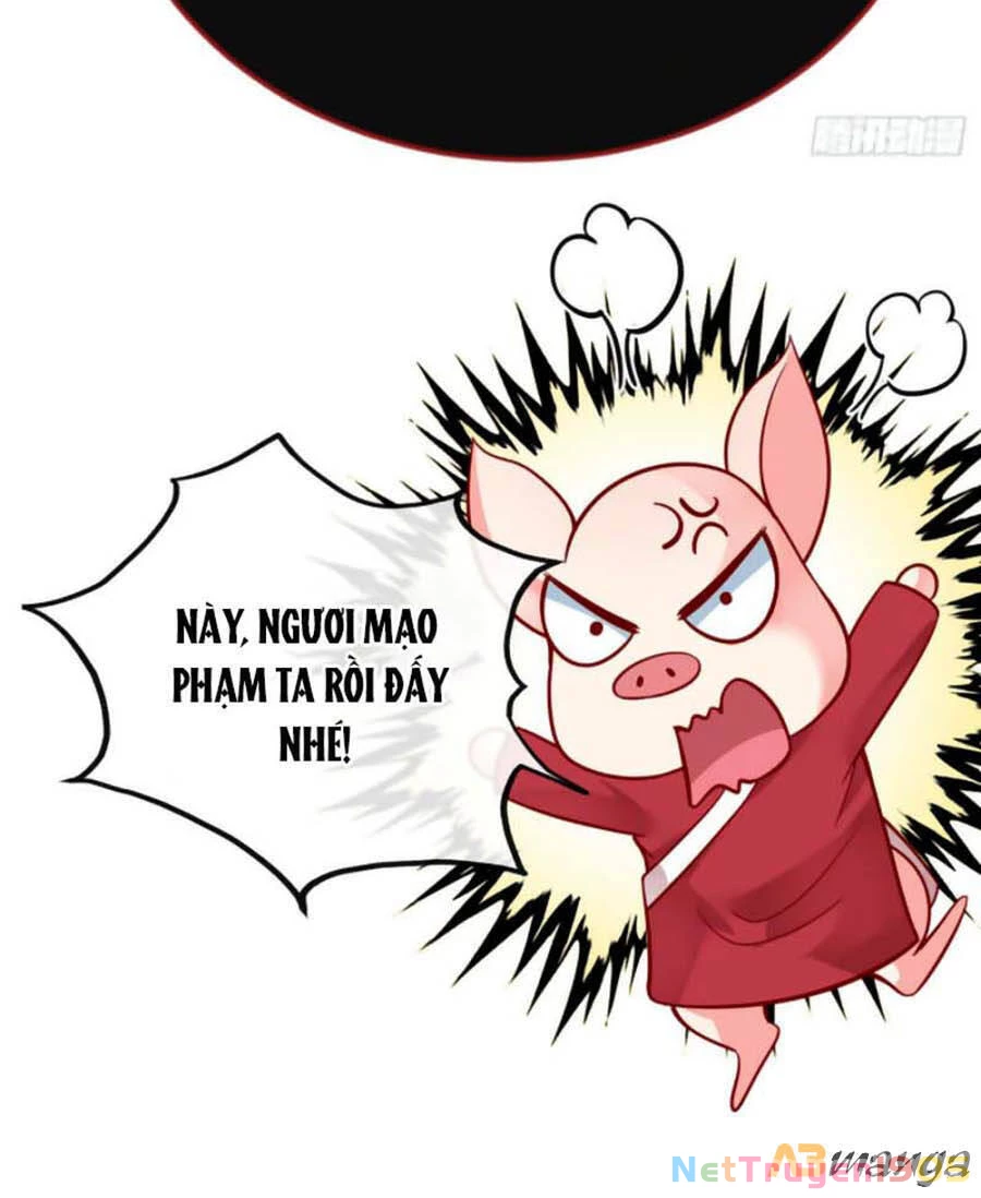 Hệ Thống Xuyên Nhanh: Ác Nam Không Dễ Chọc Chapter 11 - 30