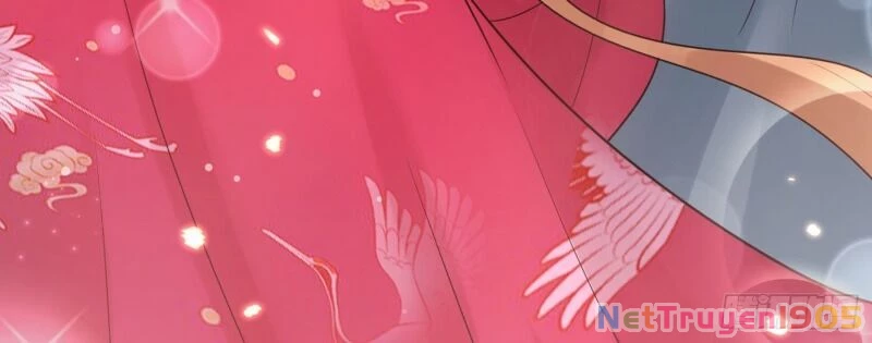 Hệ Thống Xuyên Nhanh: Ác Nam Không Dễ Chọc Chapter 14 - 47