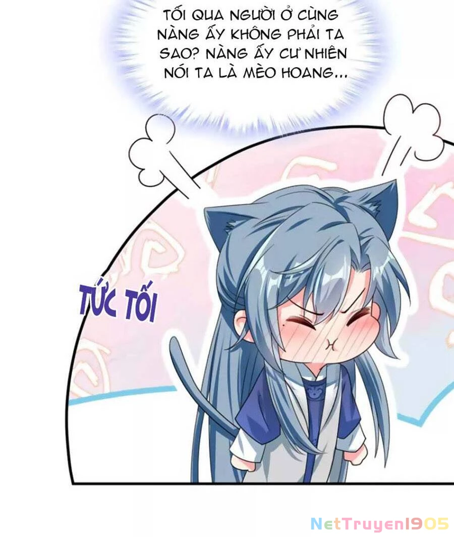 Hệ Thống Xuyên Nhanh: Ác Nam Không Dễ Chọc Chapter 102 - 19