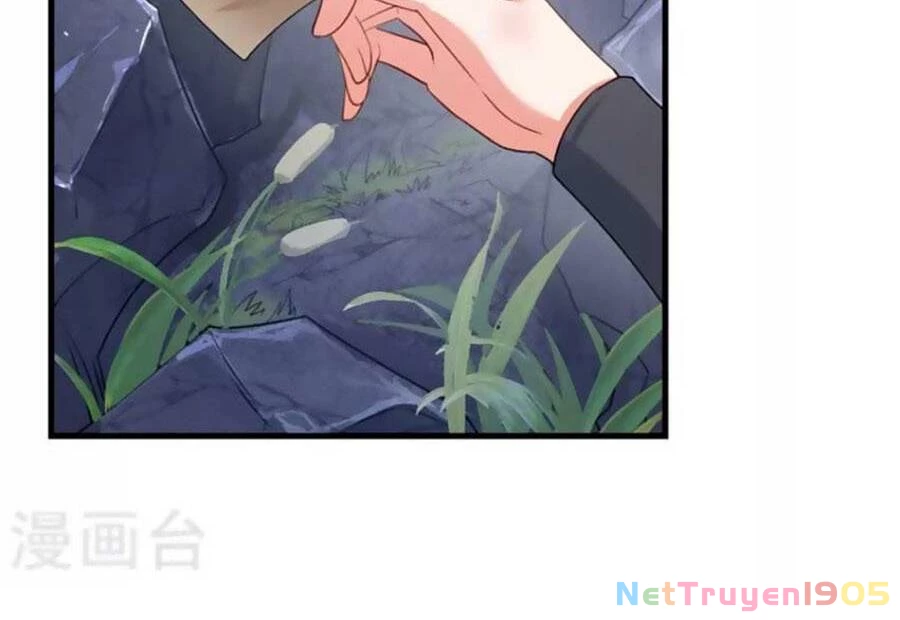 Hệ Thống Xuyên Nhanh: Ác Nam Không Dễ Chọc Chapter 106 - 24