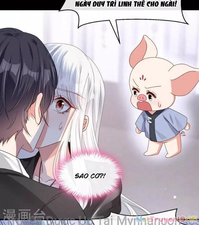 Hệ Thống Xuyên Nhanh: Ác Nam Không Dễ Chọc Chapter 121 - 14