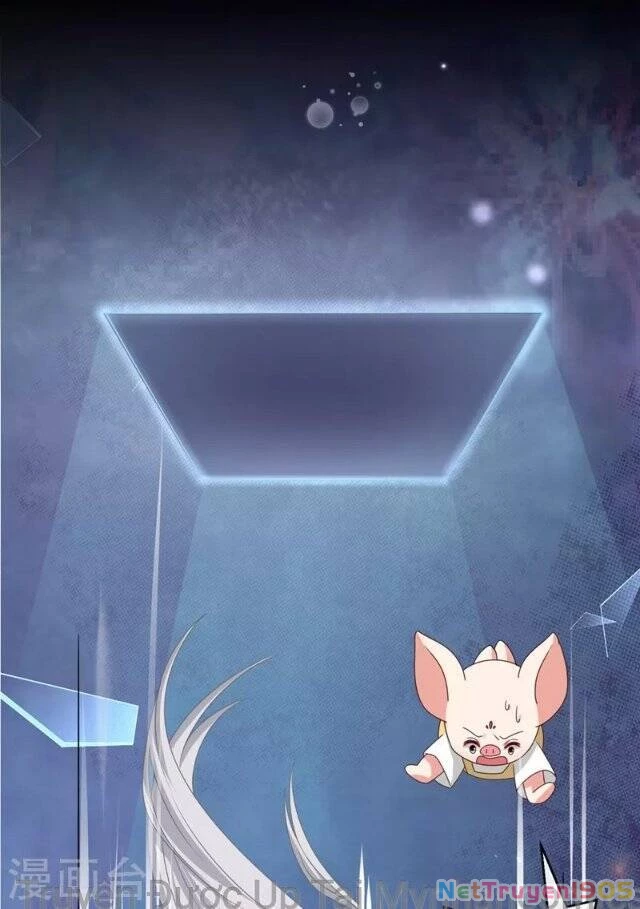 Hệ Thống Xuyên Nhanh: Ác Nam Không Dễ Chọc Chapter 121 - 24