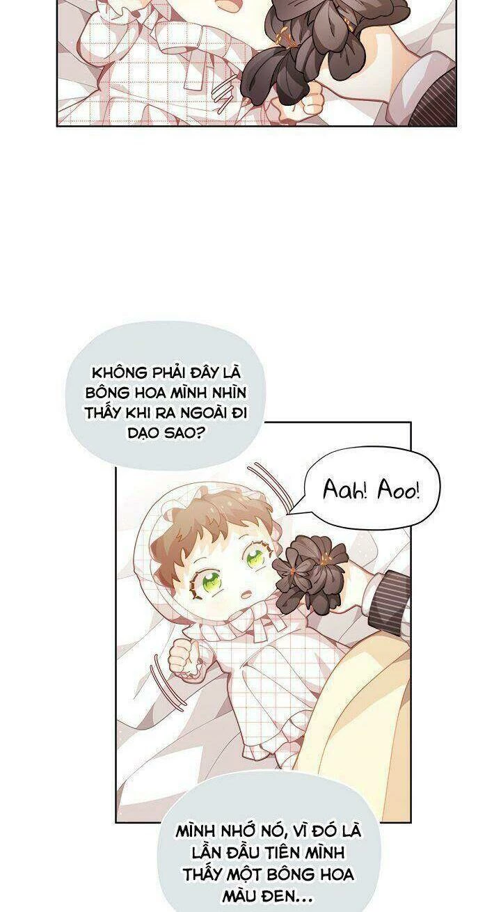Tôi Chỉ Là Một Tiểu Thư Bình Thường Chapter 5 - 29