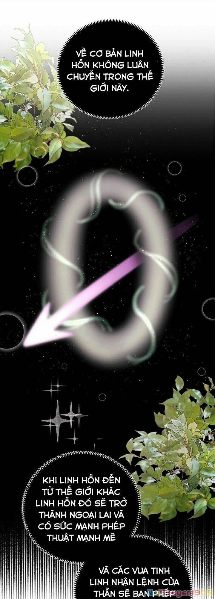 Tôi Chỉ Là Một Tiểu Thư Bình Thường Chapter 26 - 36