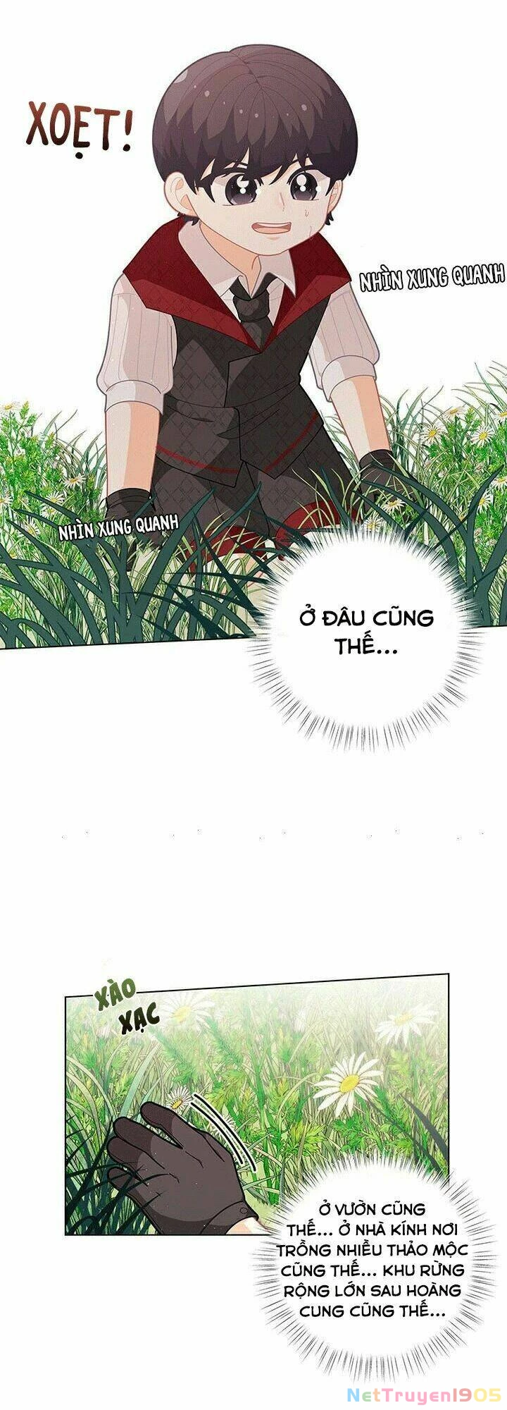 Tôi Chỉ Là Một Tiểu Thư Bình Thường Chapter 35 - 50