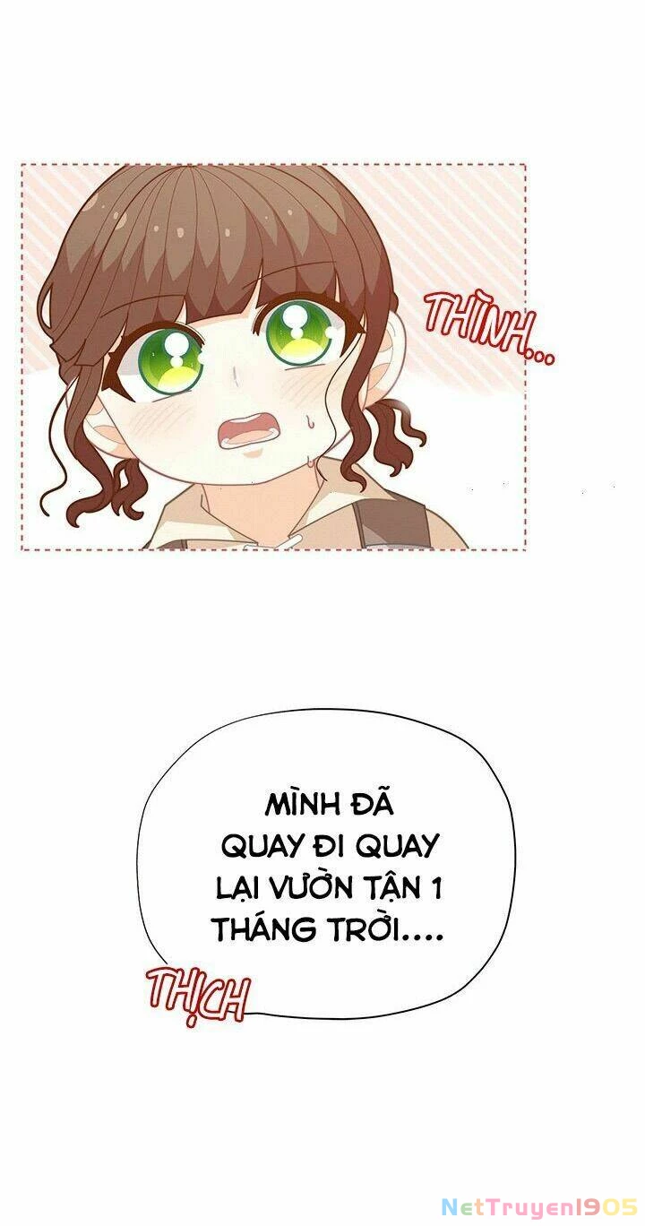 Tôi Chỉ Là Một Tiểu Thư Bình Thường Chapter 36 - 41