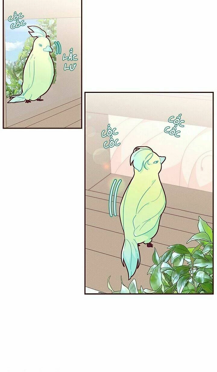 Tôi Chỉ Là Một Tiểu Thư Bình Thường Chapter 48 - 5