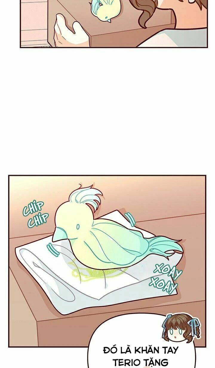 Tôi Chỉ Là Một Tiểu Thư Bình Thường Chapter 48 - 11