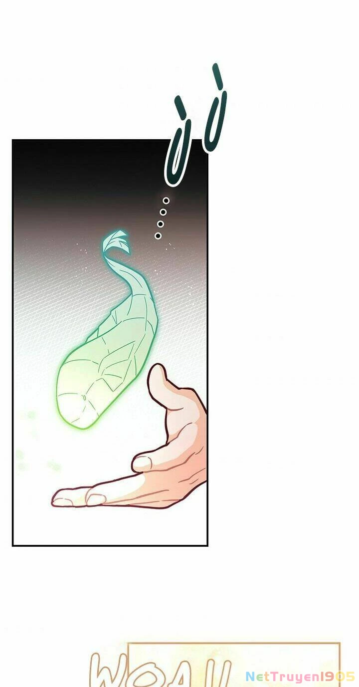 Tôi Chỉ Là Một Tiểu Thư Bình Thường Chapter 48 - 36