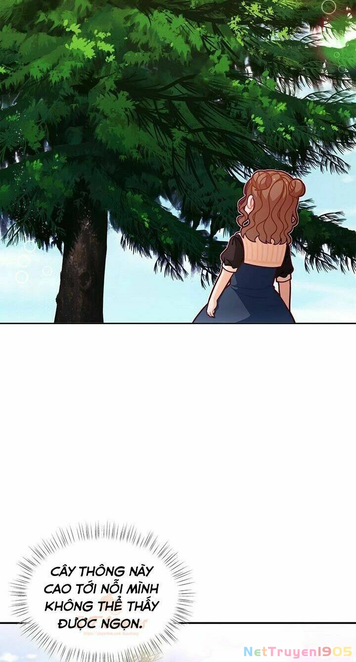 Tôi Chỉ Là Một Tiểu Thư Bình Thường Chapter 49 - 11