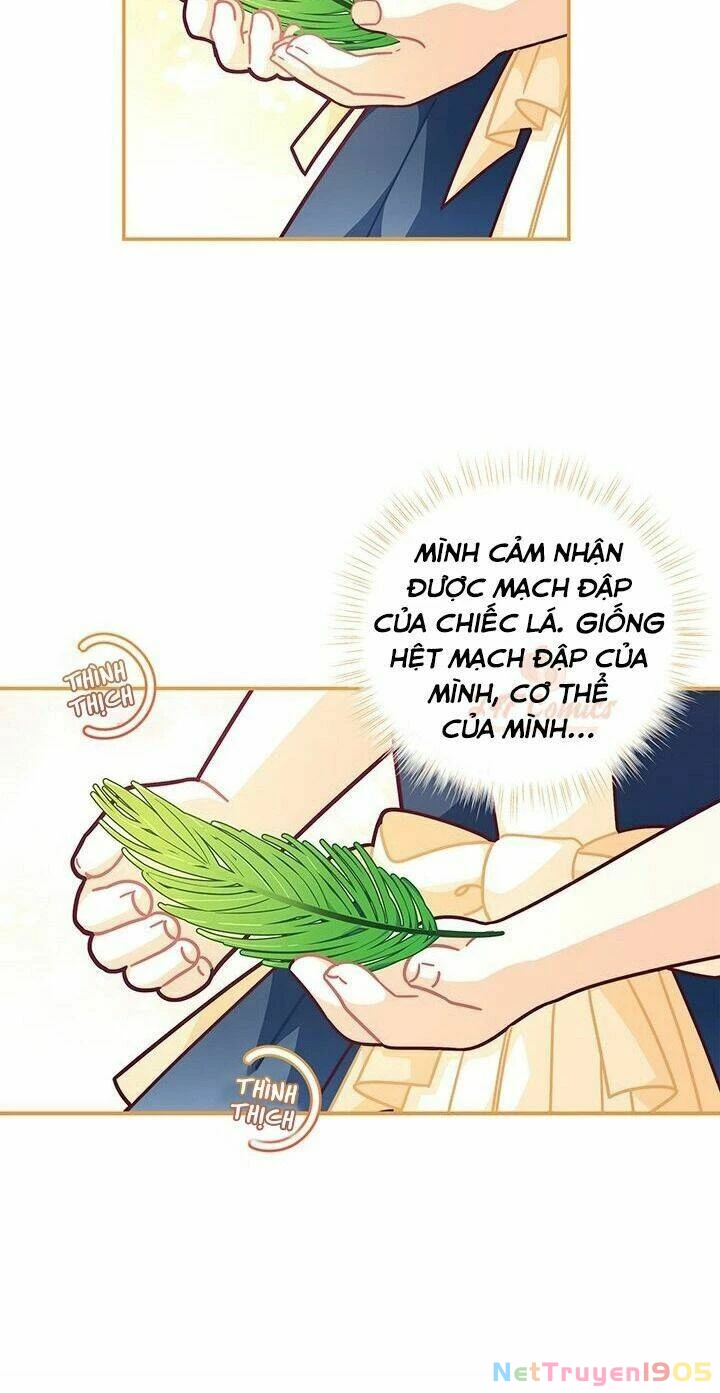 Tôi Chỉ Là Một Tiểu Thư Bình Thường Chapter 49 - 17