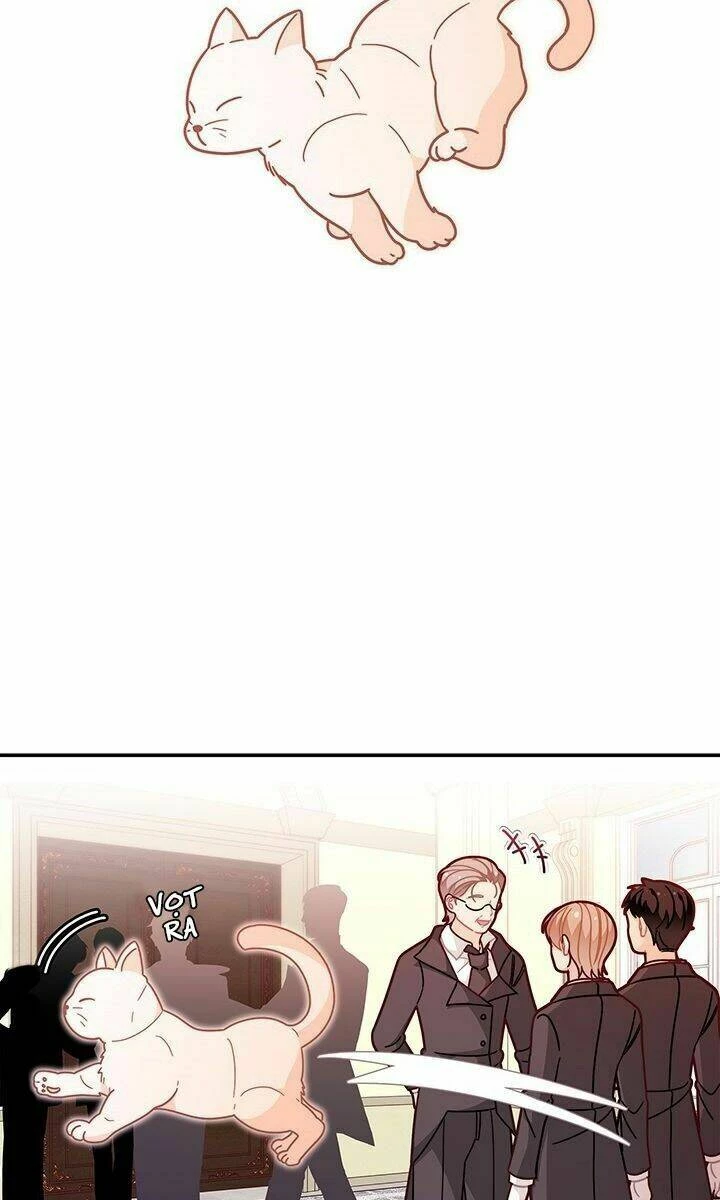 Tôi Chỉ Là Một Tiểu Thư Bình Thường Chapter 49 - 66