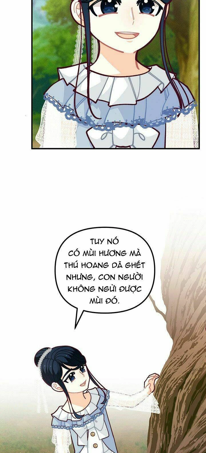 Tôi Chỉ Là Một Tiểu Thư Bình Thường Chapter 55 - 40