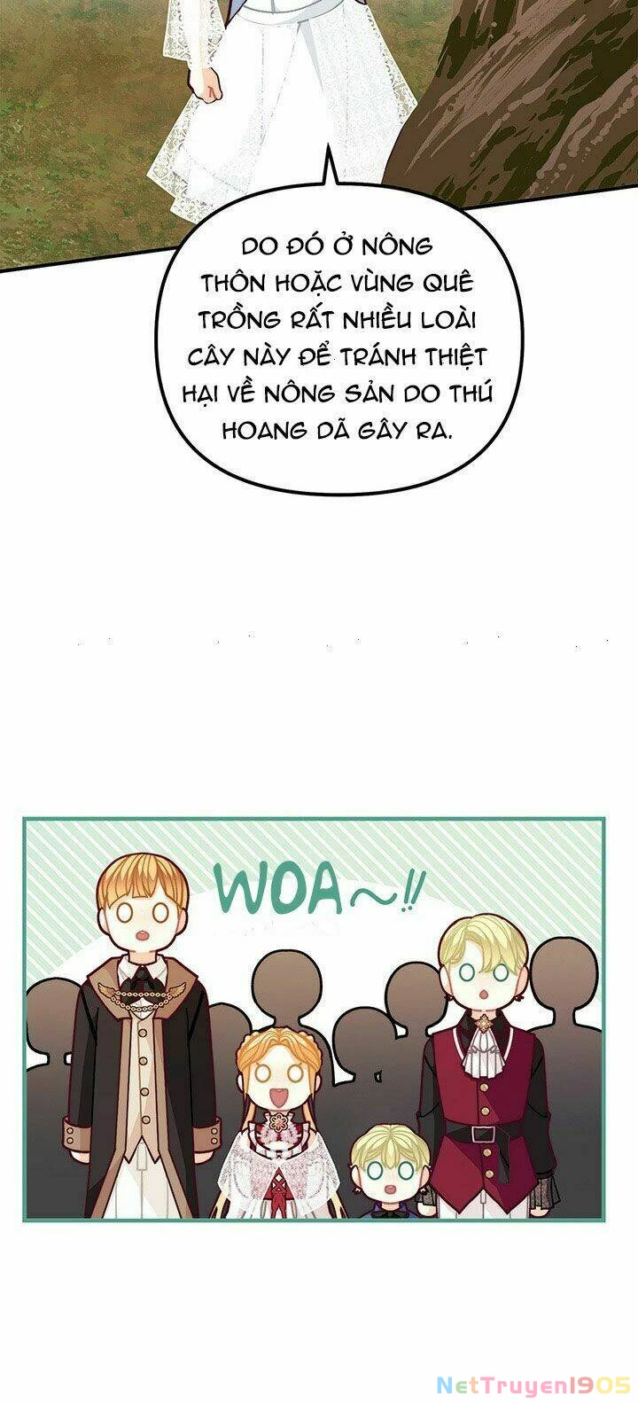 Tôi Chỉ Là Một Tiểu Thư Bình Thường Chapter 55 - 41