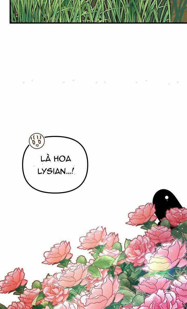 Tôi Chỉ Là Một Tiểu Thư Bình Thường Chapter 55 - 44