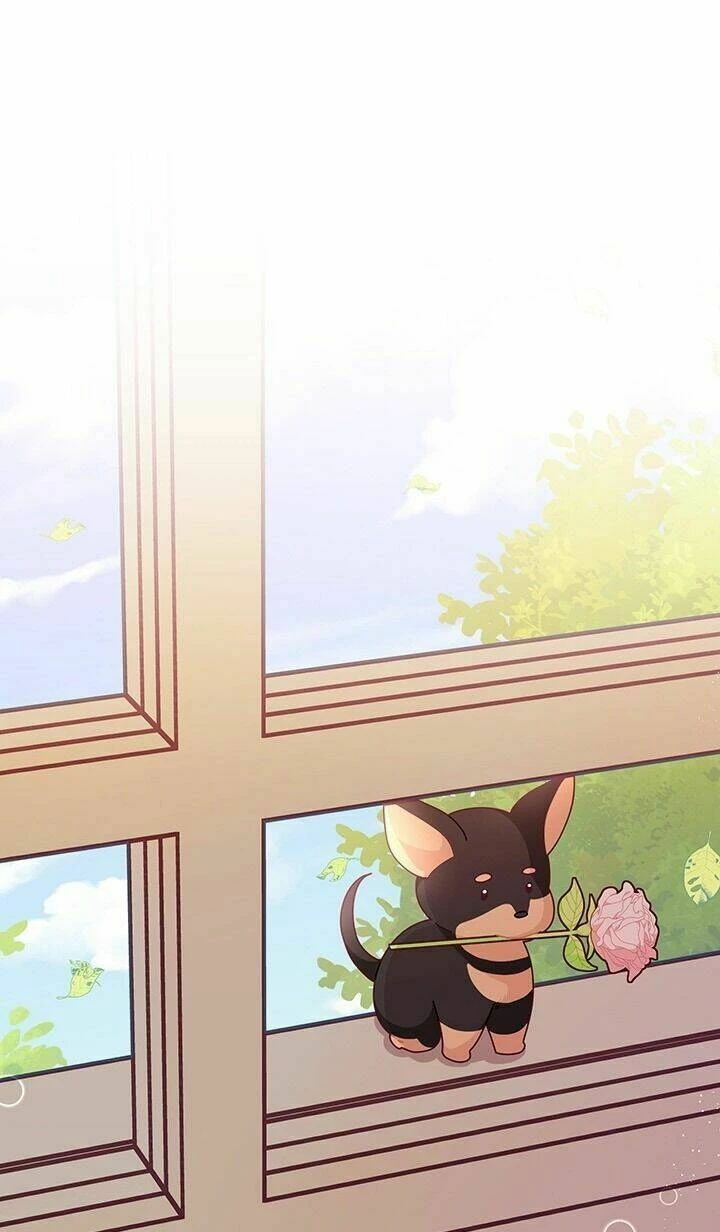 Tôi Chỉ Là Một Tiểu Thư Bình Thường Chapter 62 - 10