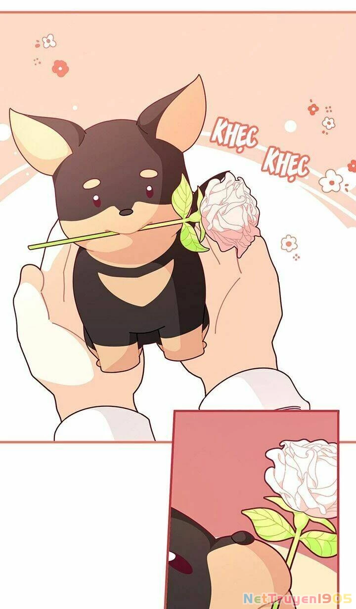 Tôi Chỉ Là Một Tiểu Thư Bình Thường Chapter 62 - 14