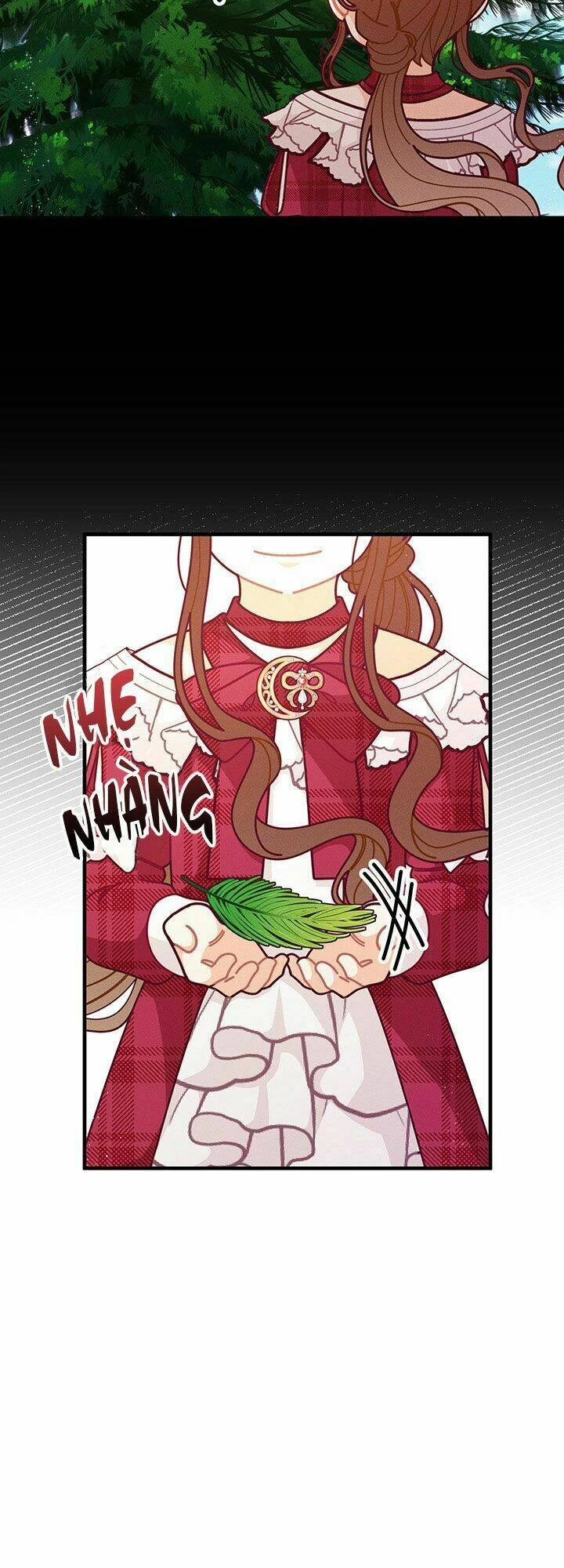 Tôi Chỉ Là Một Tiểu Thư Bình Thường Chapter 63 - 28