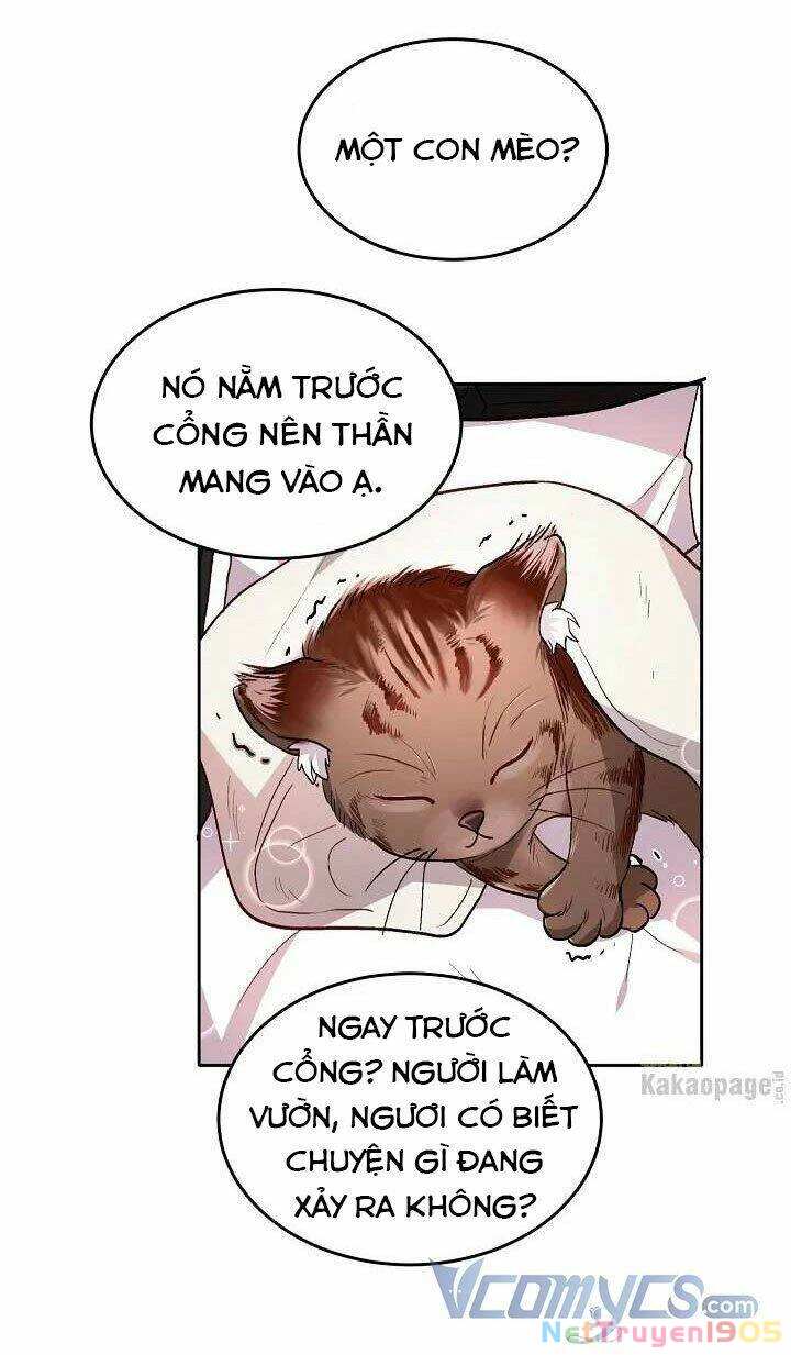 Tôi Chỉ Là Một Tiểu Thư Bình Thường Chapter 78 - 65