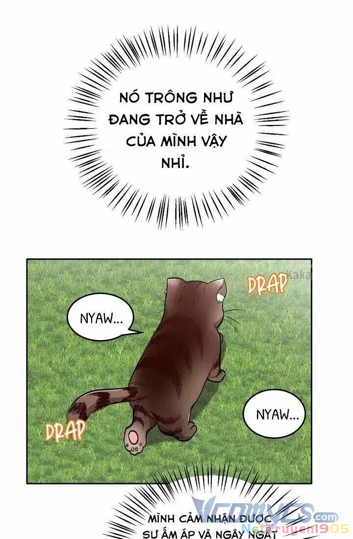 Tôi Chỉ Là Một Tiểu Thư Bình Thường Chapter 80 - 20