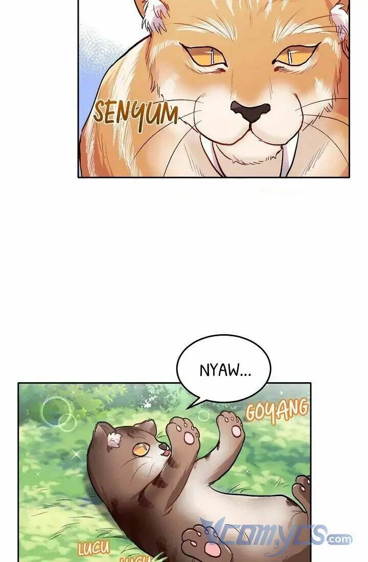 Tôi Chỉ Là Một Tiểu Thư Bình Thường Chapter 80 - 60