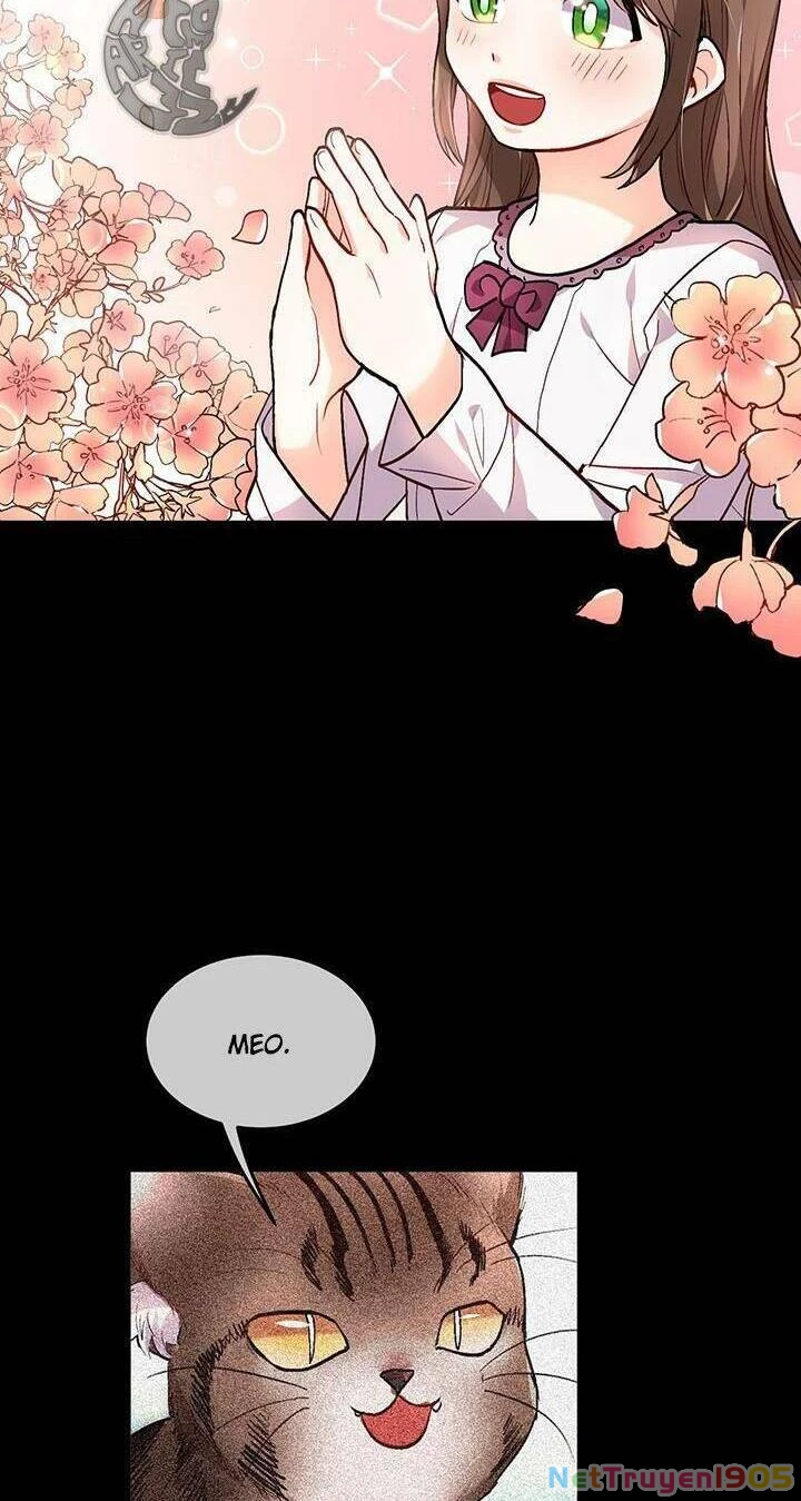 Tôi Chỉ Là Một Tiểu Thư Bình Thường Chapter 81 - 23