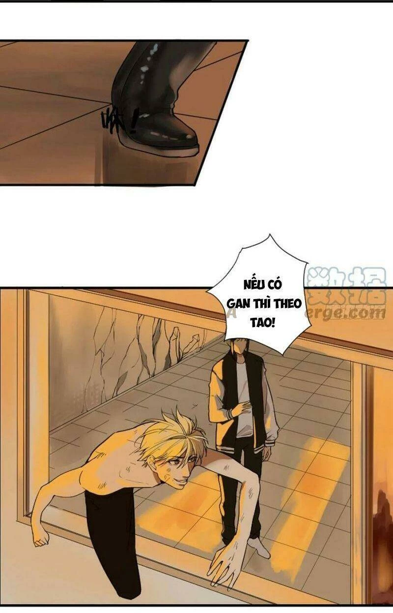 Người Tu Tiên Tại Đô Thị Chapter 175 - 4