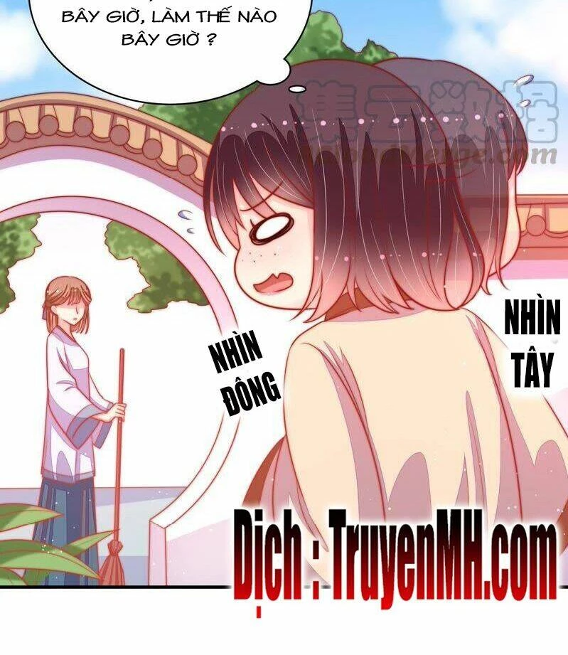Ngày Nào Thiếu Soái Cũng Ghen Chapter 151 - 7