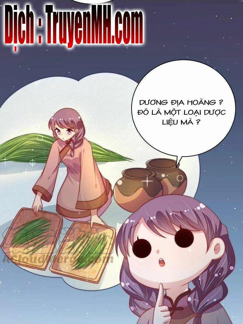 Ngày Nào Thiếu Soái Cũng Ghen Chapter 219 - 3