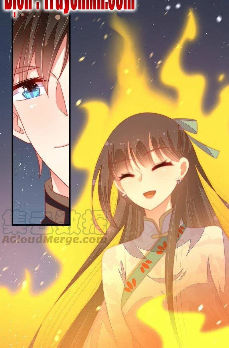 Ngày Nào Thiếu Soái Cũng Ghen Chapter 220 - 7