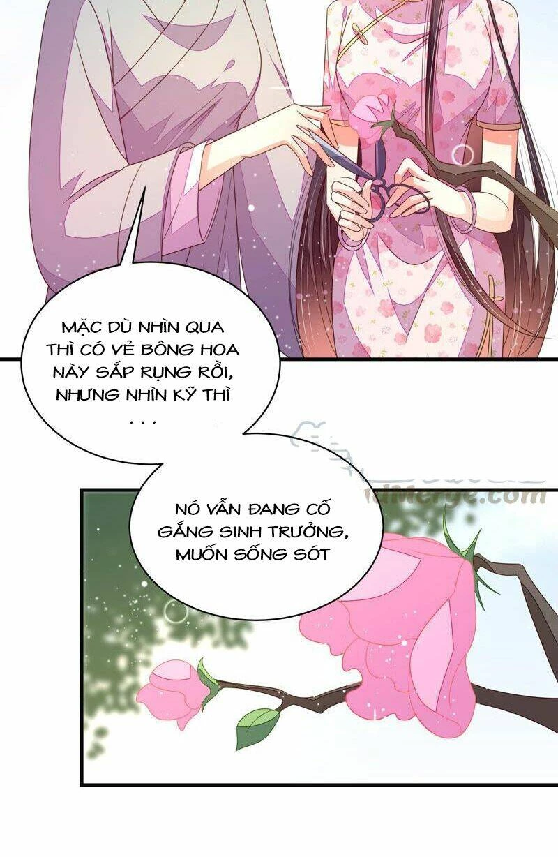 Ngày Nào Thiếu Soái Cũng Ghen Chapter 343 - 19