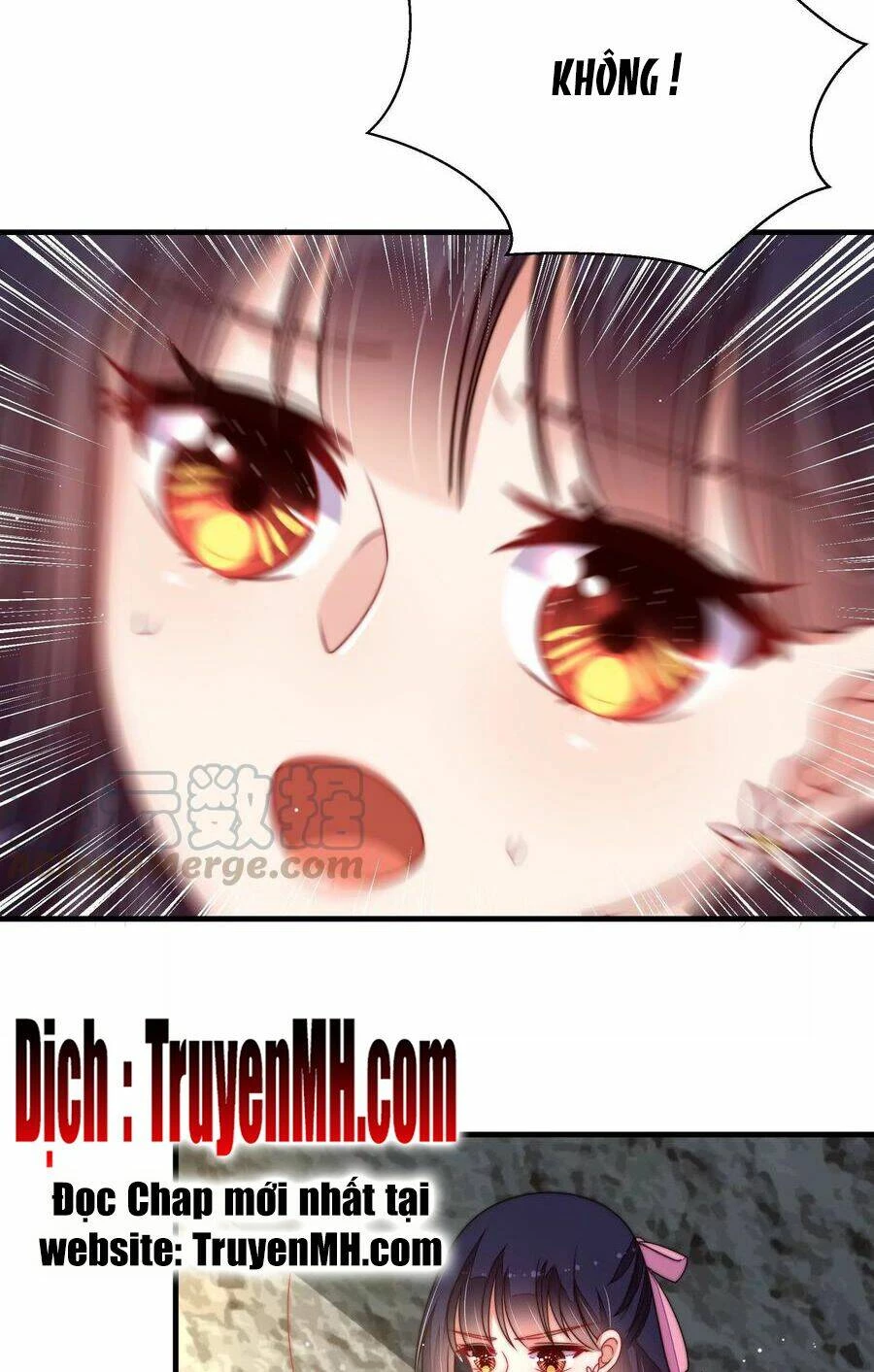 Ngày Nào Thiếu Soái Cũng Ghen Chapter 394 - 6