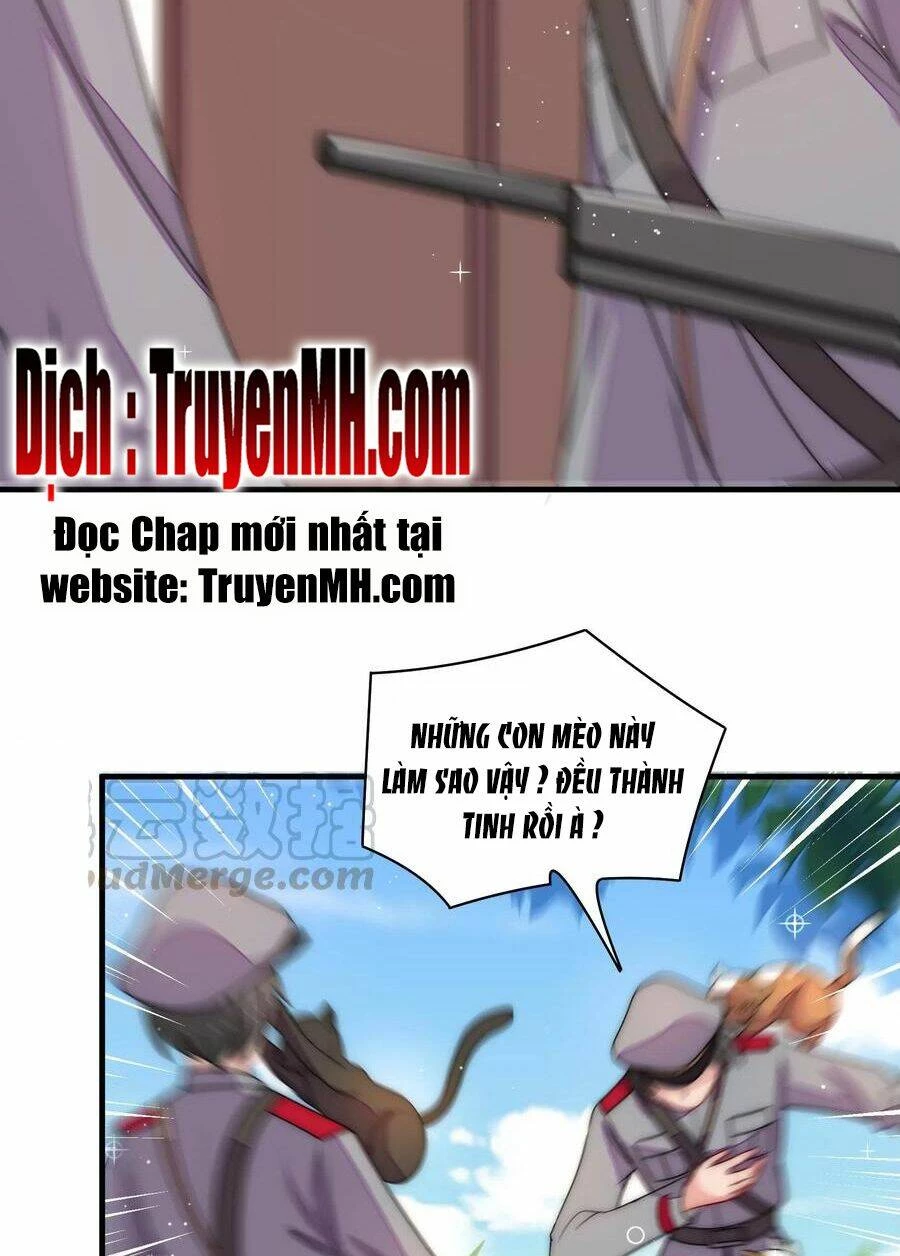 Ngày Nào Thiếu Soái Cũng Ghen Chapter 409 - 13