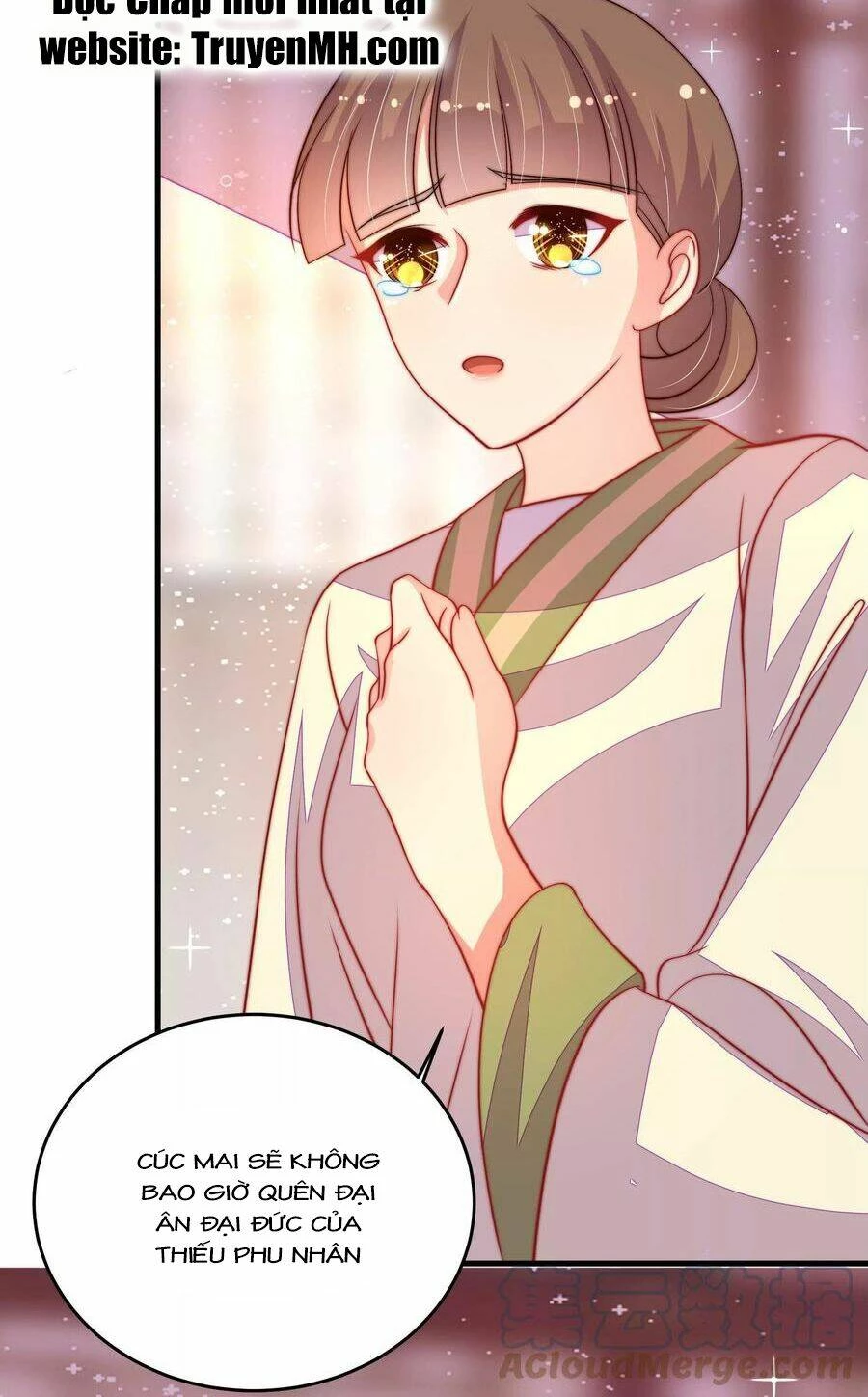 Ngày Nào Thiếu Soái Cũng Ghen Chapter 469 - 19