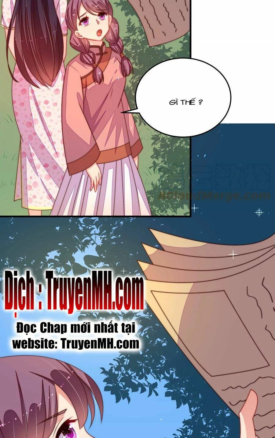 Ngày Nào Thiếu Soái Cũng Ghen Chapter 492 - 18