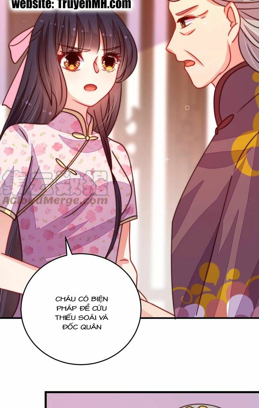 Ngày Nào Thiếu Soái Cũng Ghen Chapter 494 - 11