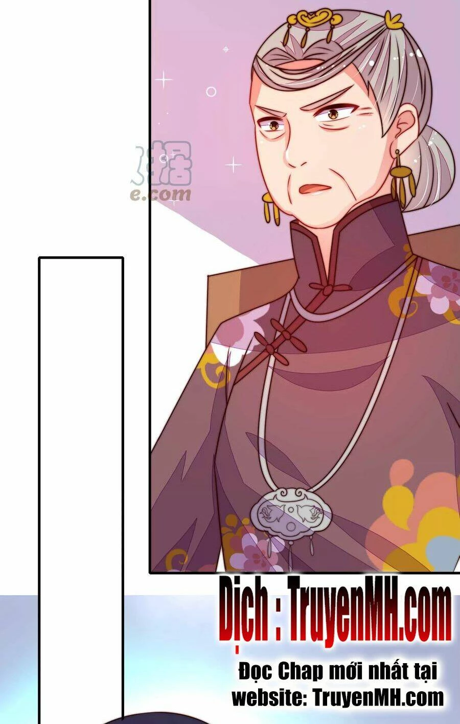 Ngày Nào Thiếu Soái Cũng Ghen Chapter 494 - 17