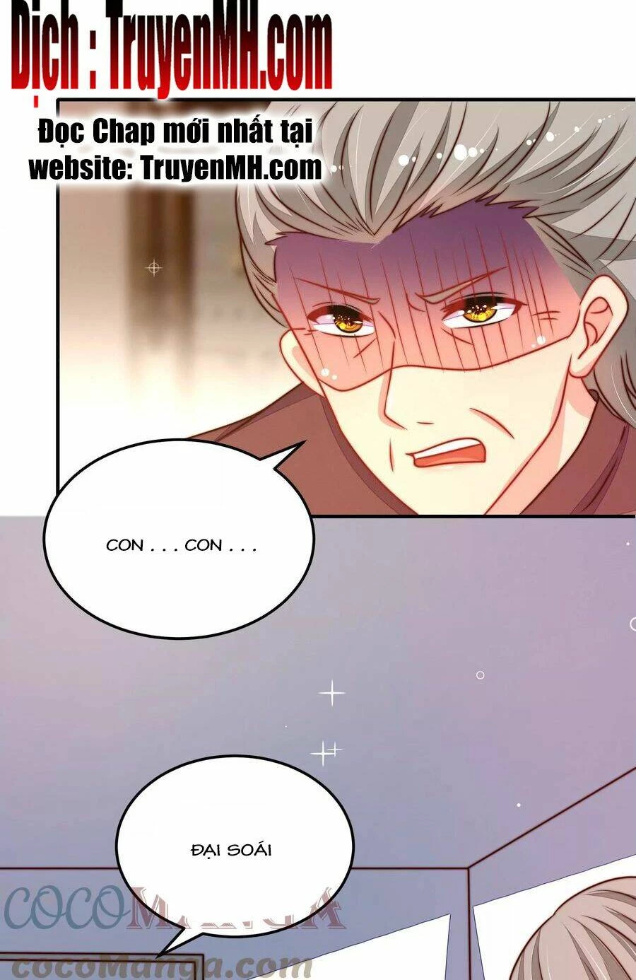 Ngày Nào Thiếu Soái Cũng Ghen Chapter 510 - 17