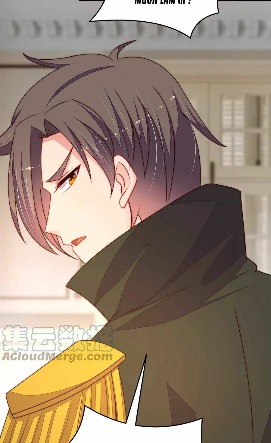 Ngày Nào Thiếu Soái Cũng Ghen Chapter 511 - 16